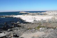 Lüderitz - Buchtenfahrt