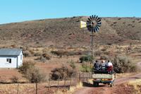Rundfahrt auf der Farm