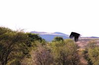 Rundfahrt auf der Farm