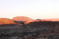 Rundfahrt auf der Farm