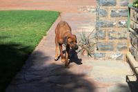 und noch ein Farmbewohner