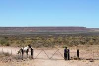 Unterwegs in Namibia