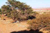 Nationalpark Sossusvlei