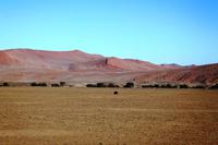 Nationalpark Sossusvlei