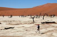 Nationalpark Sossusvlei - Dead Vlei