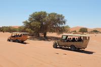 Heiße 4 x 4 Wüsten-Ralley