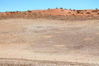 Nationalpark Sossusvlei - Feenkreise