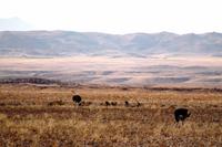 Unterwegs in Namibia