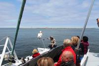 Walvis Bay -  mit dem Catamaran durch die Lagune