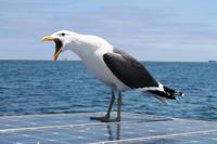 Haaaaallo, mich gibt`s auch noch