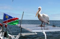 und jetzt gehört der Laufsteg mir!