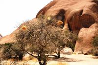 Spitzkoppe - Wanderung