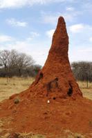 Namibia - Termitenhügel