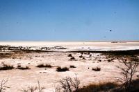 Etosha-Pfanne