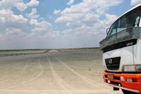 Etosha NP - in der Pfanne