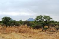 Namibia - auf dem Weg nach Windhoek