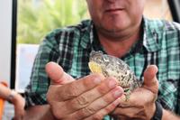 Exotischer Besuch im Bus