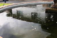 REGEN am Abreisetag - der Himmel weint, Namibia lacht