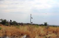 Auf die Mäste ihr Affen, die Strasse ist nass