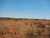 0028 in der Kalahari-Wüste