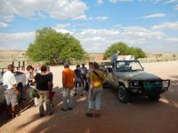 0042 Pirschfahrt in der Kalahari