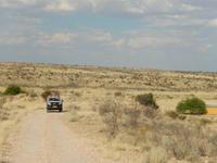 0044 Pirschfahrt in der Kalahari