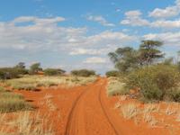 0051 Pirschfahrt in der Kalahari
