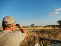 0074 Pirschfahrt in der Kalahari