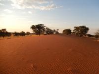 0076 Sundowner in der Kalahari