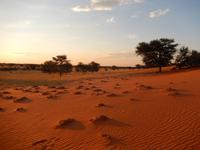 0081 Sundowner in der Kalahari