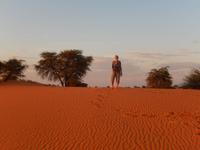 0082 Sundowner in der Kalahari