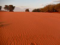 0083 Sundowner in der Kalahari