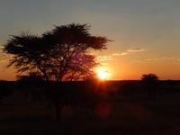 0084 Sundowner in der Kalahari