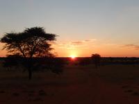 0085 Sundowner in der Kalahari