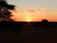 0087 Sundowner in der Kalahari