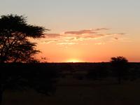 0088 Sundowner in der Kalahari