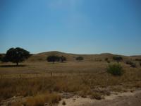 0089 Kalahari-Dünen