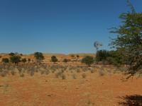 0091 in der Kalahari