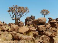 0114 Giants Playground - Spielplatz der Riesen