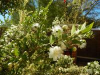 0120 in Keetmanshoop