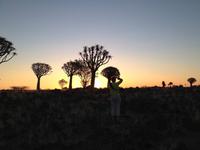 0142 Sundowner im Köcherbaumwald