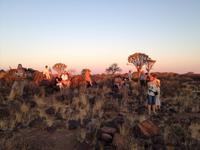 0145 Sundowner im Köcherbaumwald