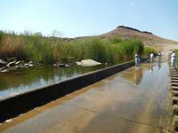 0152 durch das Löwen-Revier