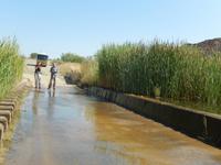 0155 durch das Löwen-Revier