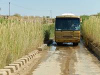0158 durch das Löwen-Revier