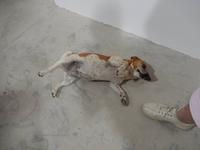 0163 Weinverkostung am Naute-Damm