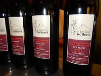 0167 Weinverkostung am Naute-Damm