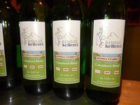 0168 Weinverkostung am Naute-Damm