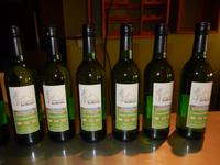 0171 Weinverkostung am Naute-Damm