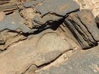 0177 Versteinerungen an den Karasbergen